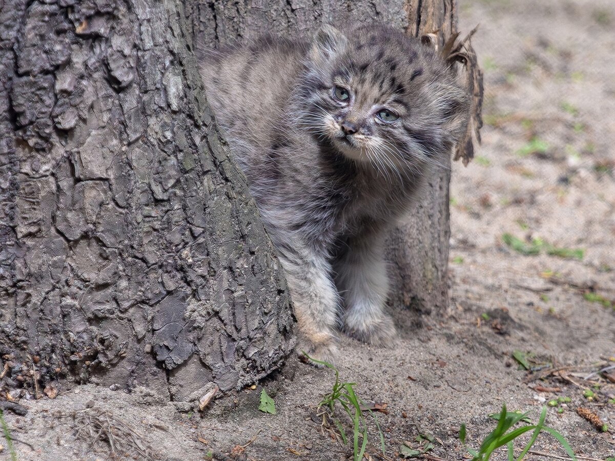 Автор фото: В. Габов.