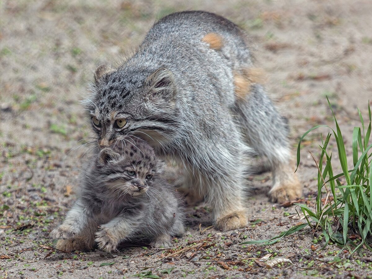 Автор фото: В. Габов.