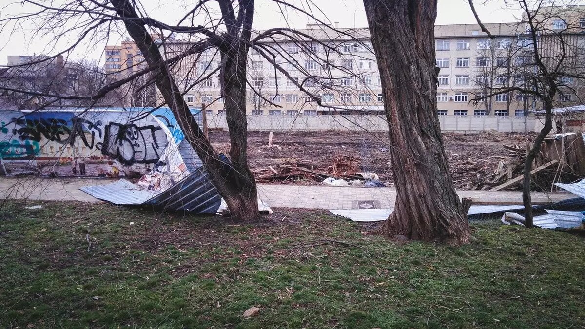 Сильный ливень и жуткий ветер. В ХМАО объявили штормовое предупреждение |  muksun.fm | Дзен