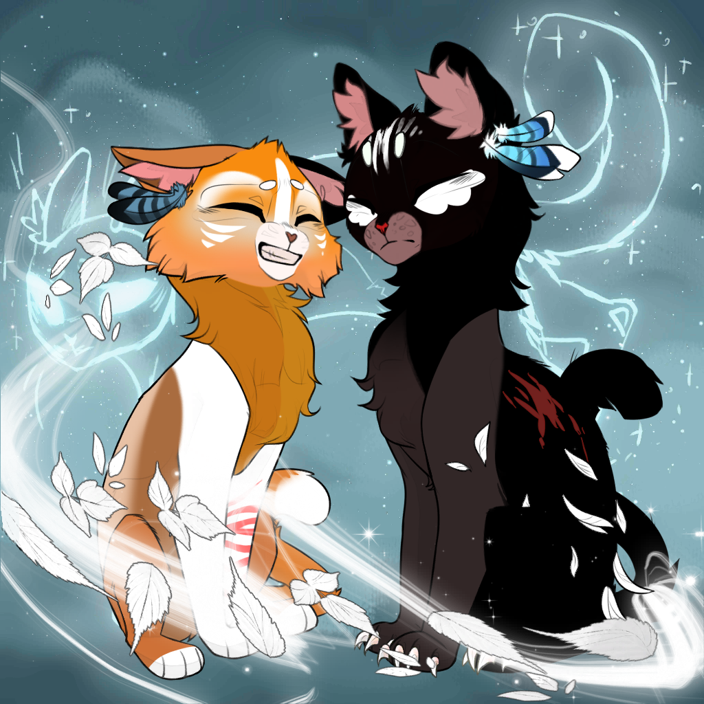 Пары котов, аватар мейкер