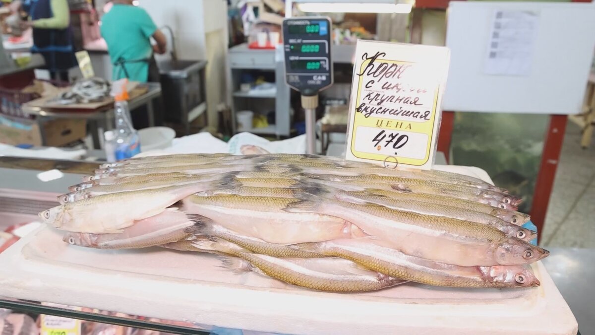 Пик ловли корюшки приходится на середину апреля и длится вплоть до середины мая