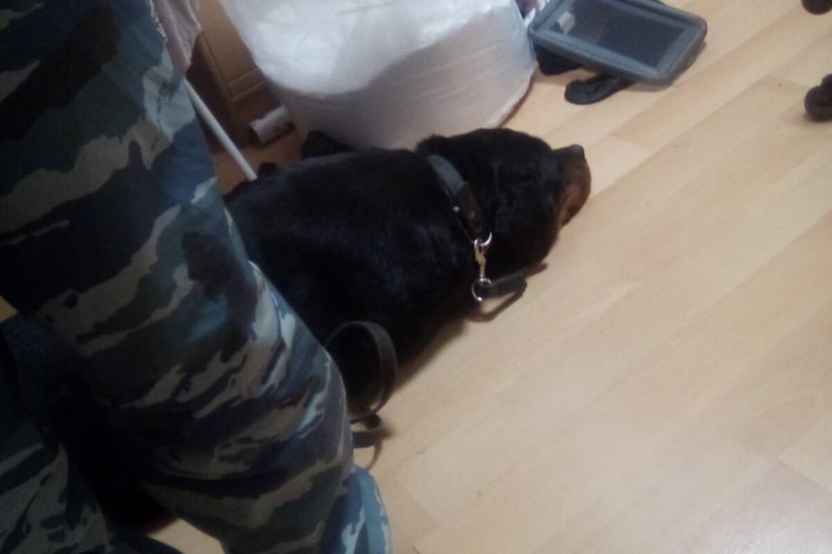    Житель Оренбурга заказал более 10 000 доз наркотика по почте из Китая