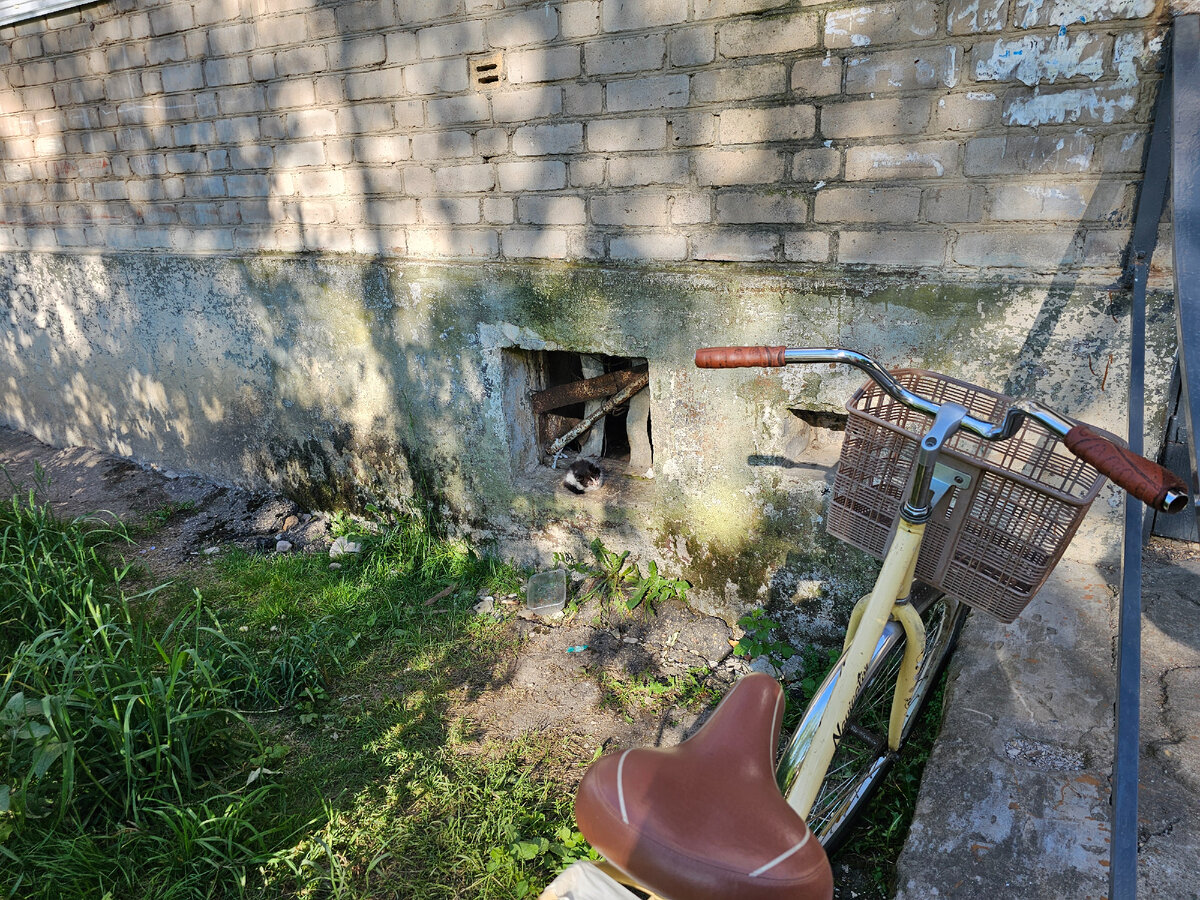 Здесь он пытался выжить