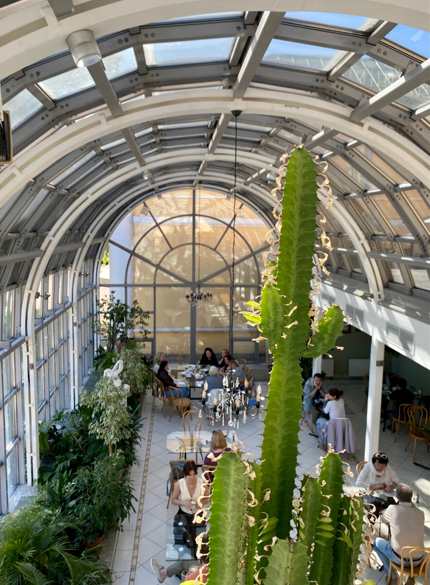 Кафе Оранжерея 