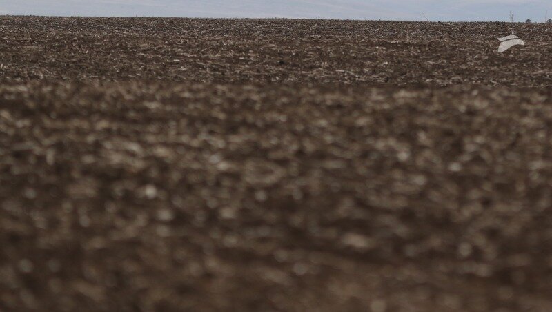      Фото: Дмитрий Ахмадуллин / / ИА «Победа26»