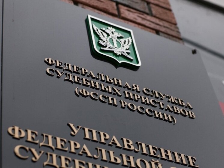     Фото: пресс-службы УФССП по Калужской области