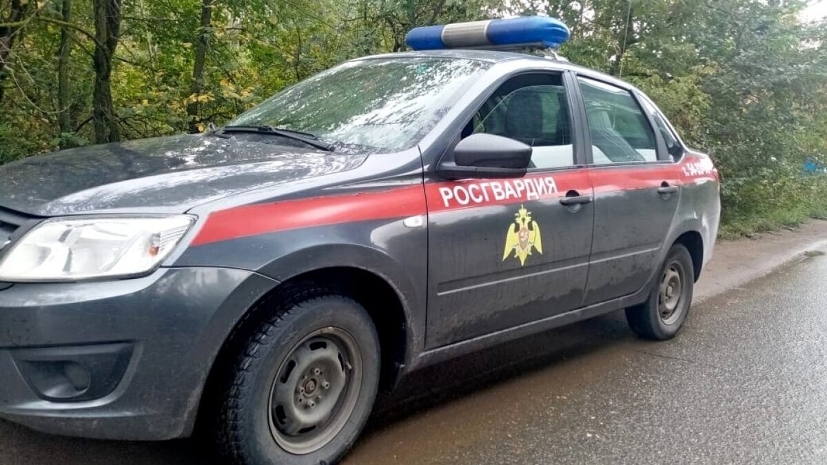    Под Саратовом прекращены поиски 2 пропавших днем девочекНовости Саратова и области – Сетевое издание «Репортер64»