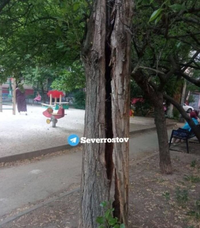 Источник фото: Telegram-канал «Северный Ростов»