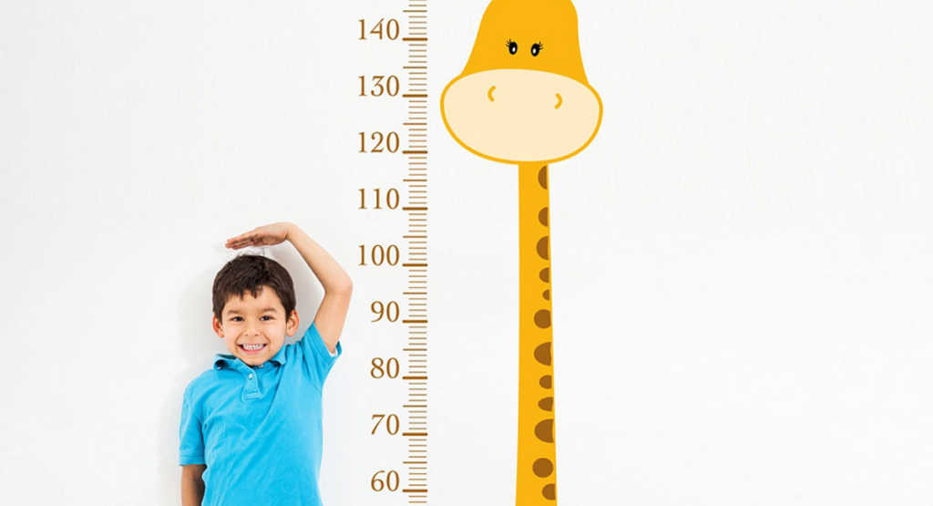 Premium Vector Height measure for little children Kids' book, Teaching geometry,