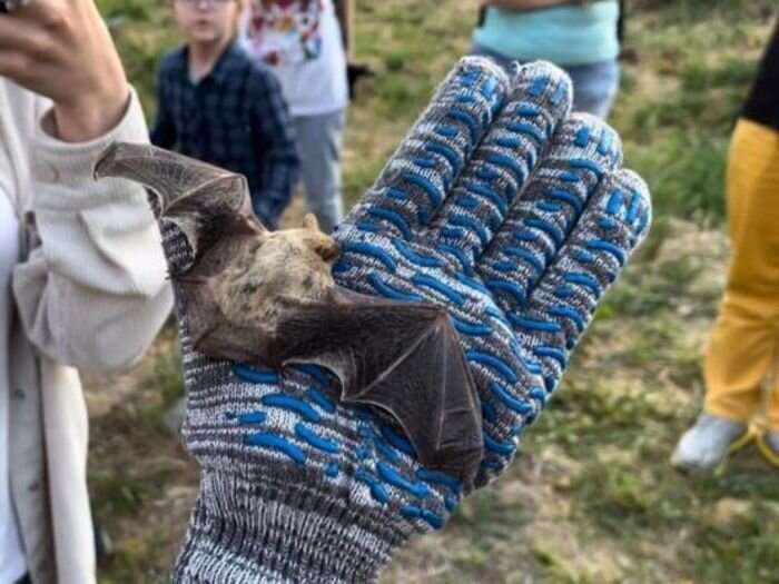 Источник фото: Издание МК