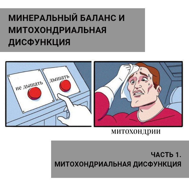 Митохондриальная дисфункция что это Митохондриальная дисфункция что это