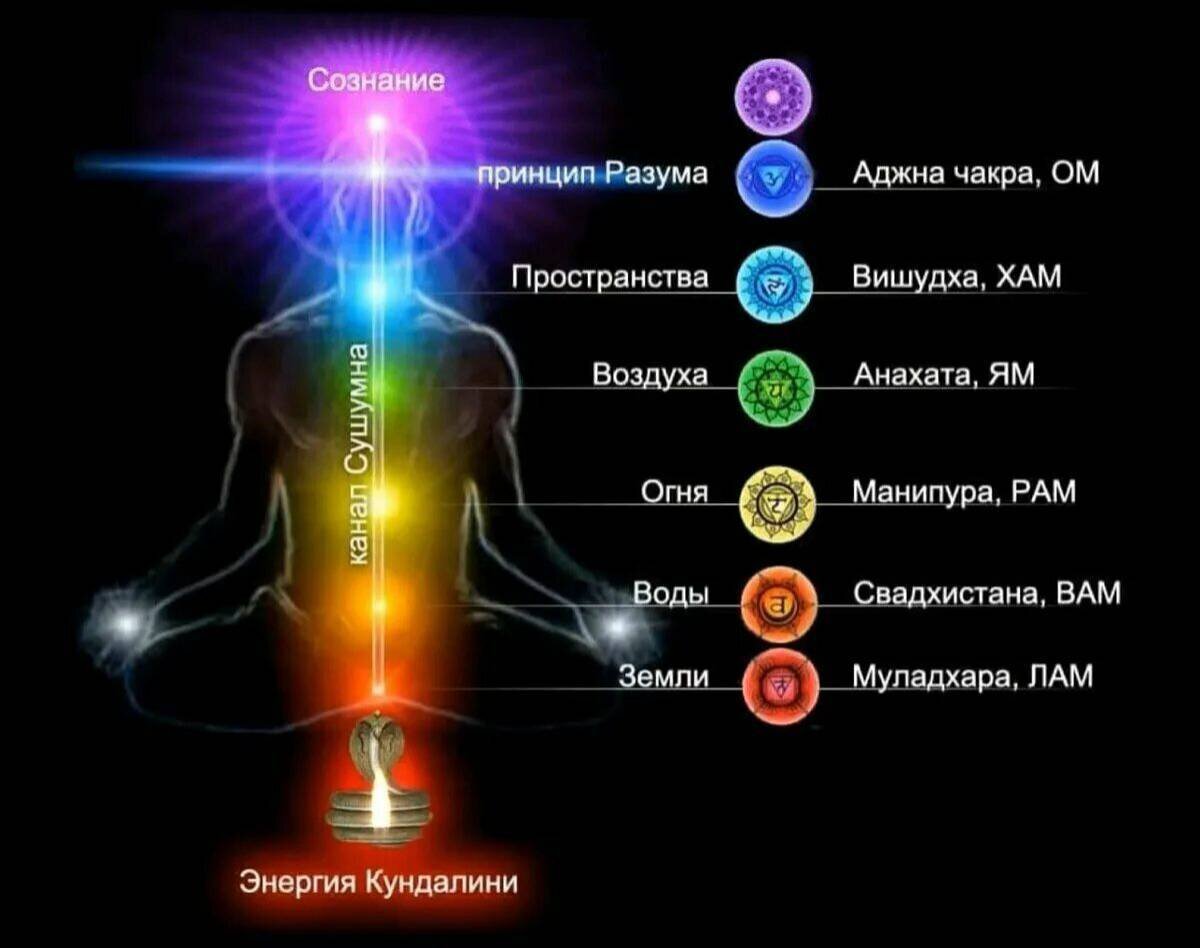 Свадхистана чакра упражнение на открытие. Свадхистана чакра упражнение на открытие