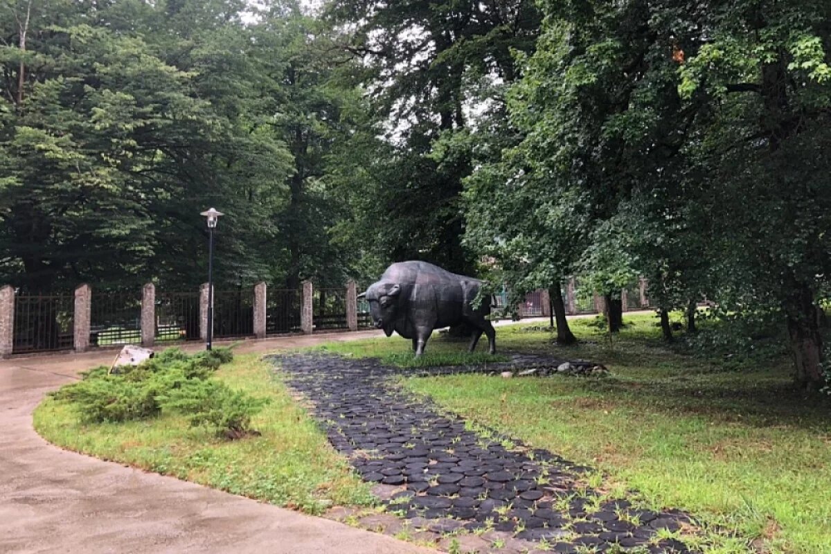    К летнему сезону в Сочи откроют 150 км пешеходных и велосипедных маршрутов