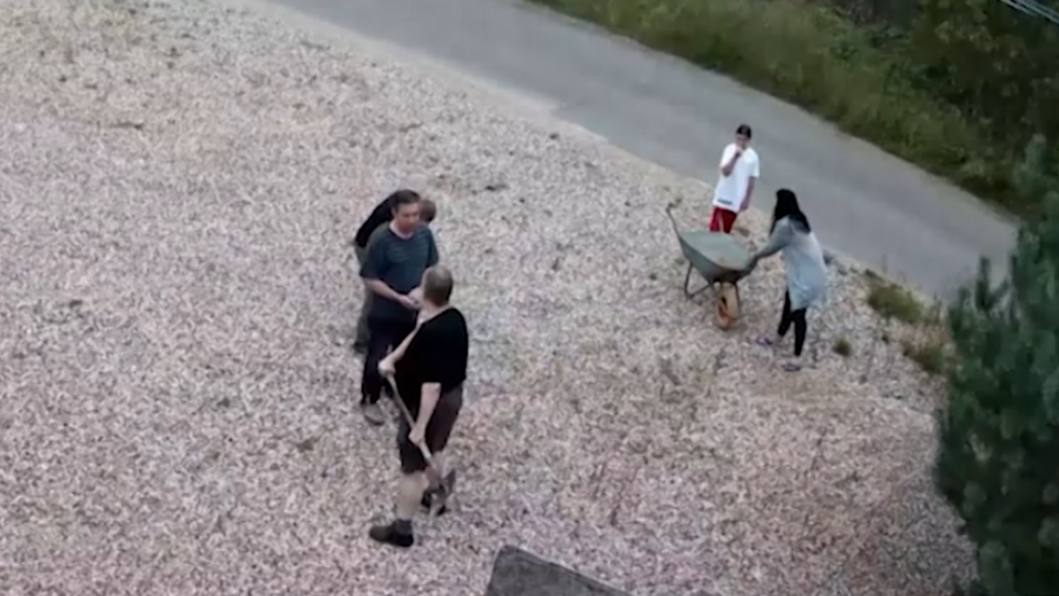 Фото: © Скриншот видео