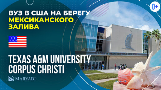 Tải video: Как поступить в университет США? Учеба в США в Texas A&M University–Corpus Christi / ВУЗ в Америке