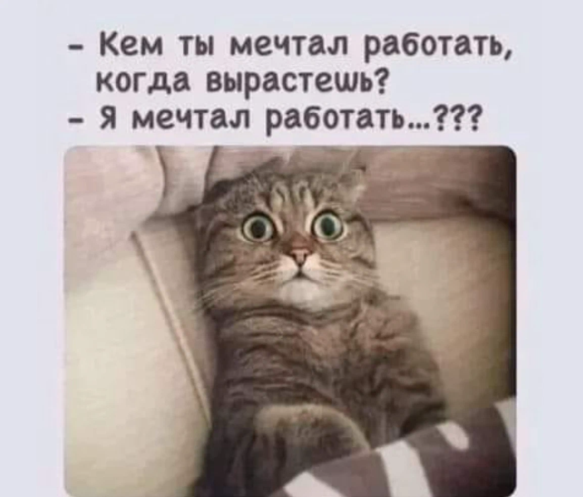 источник Яндекс-картинки