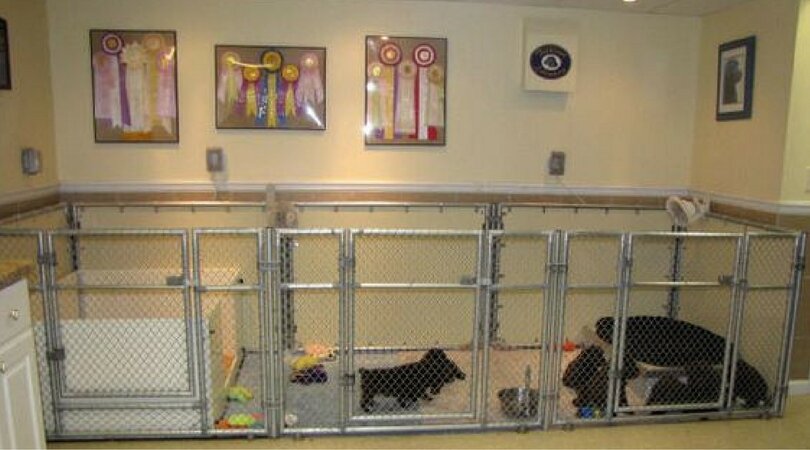 Фото из поиска Яндекса