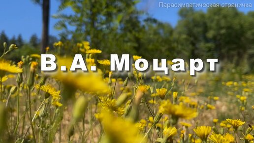 В.А. Моцарт, соната для клавира, скрипки и виолончели. Музыка для души