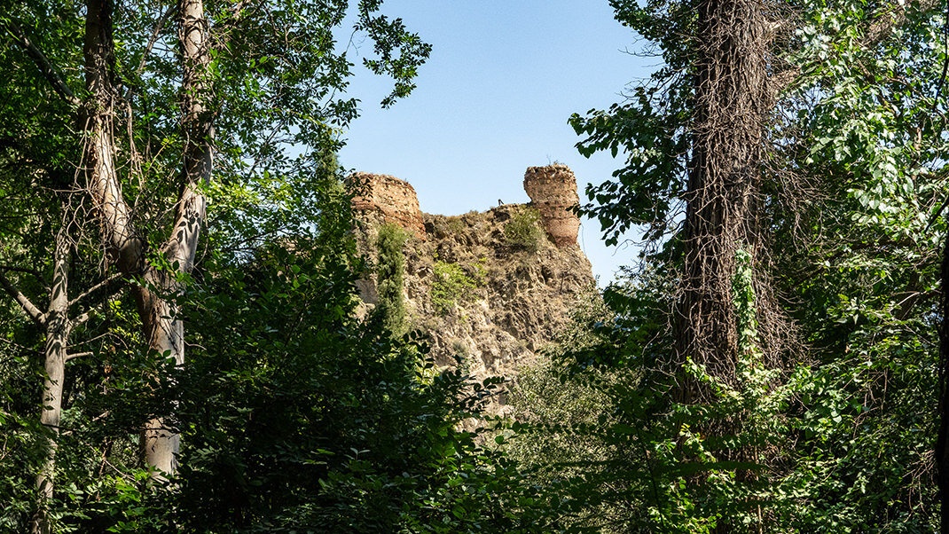 Тбилисский ботанический сад. Вид на руины крепости Нарикала
