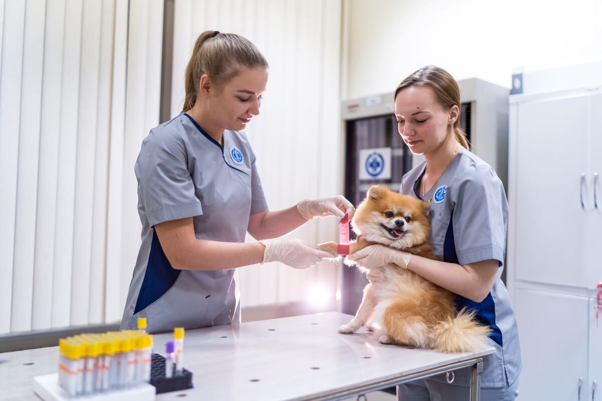    Фото: Александр Плонский / "ВиЖ"