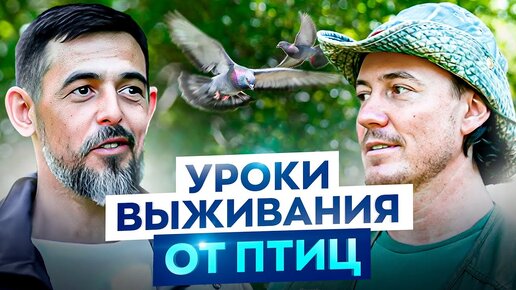 下载视频: Люди мрут как мухи в каменных джунглях! Орнитолог о мощнейшем влиянии природы на каждого из нас