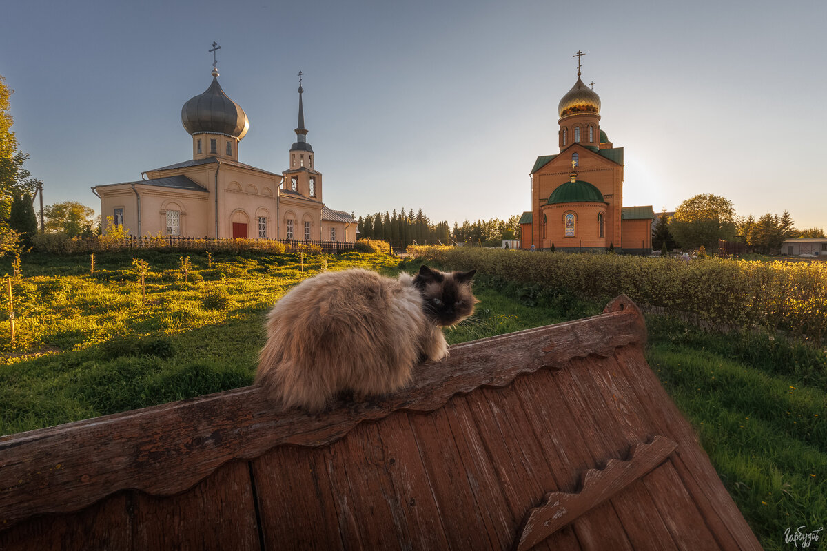 Тульский фотограф Илья Гарбузов