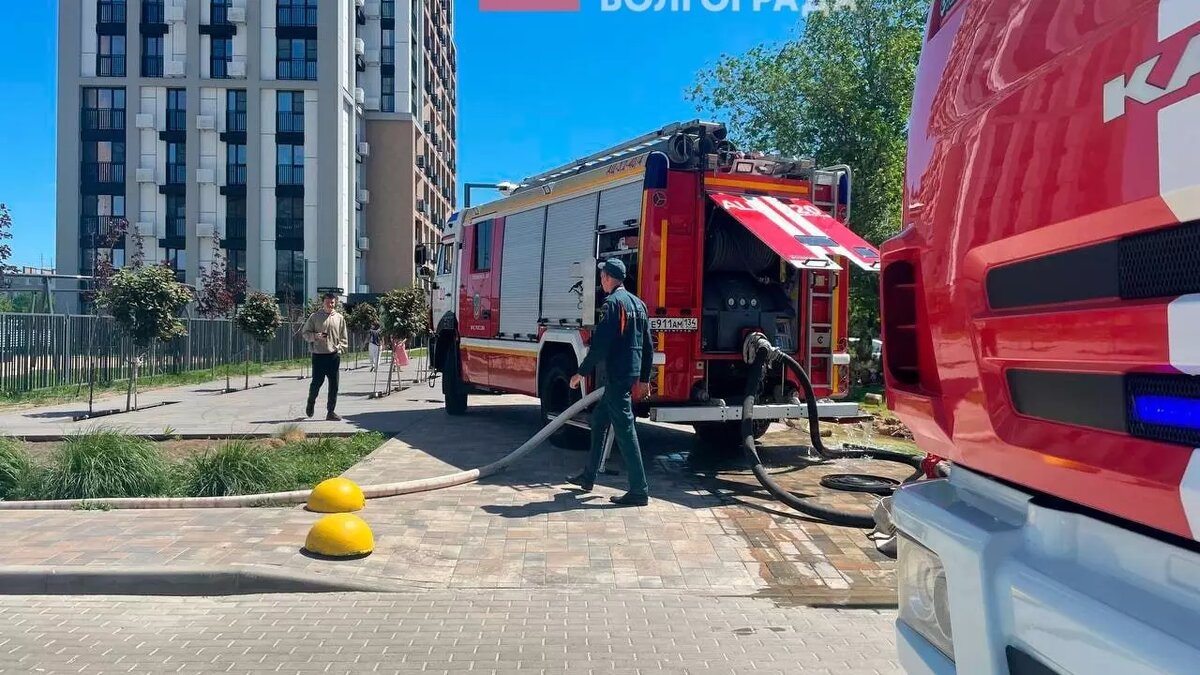     Источник: novostivolgograda.ru