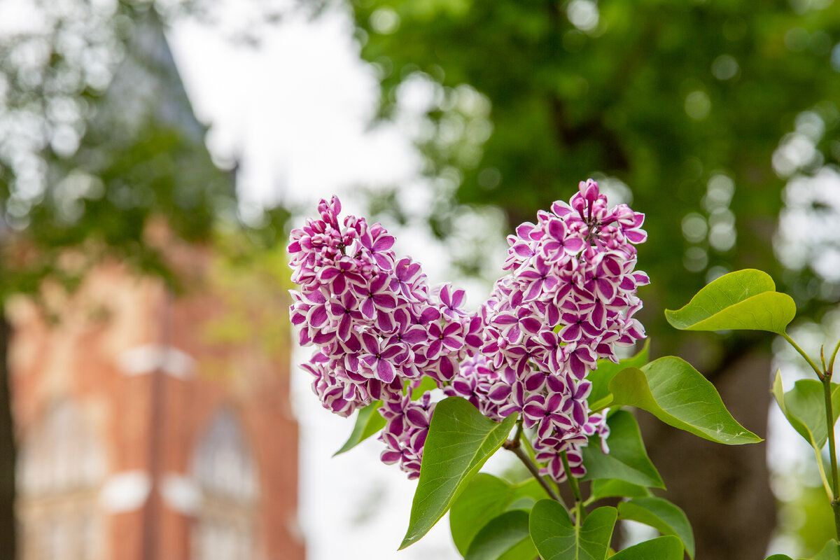 Фото: ГМЗ «Царское Село»