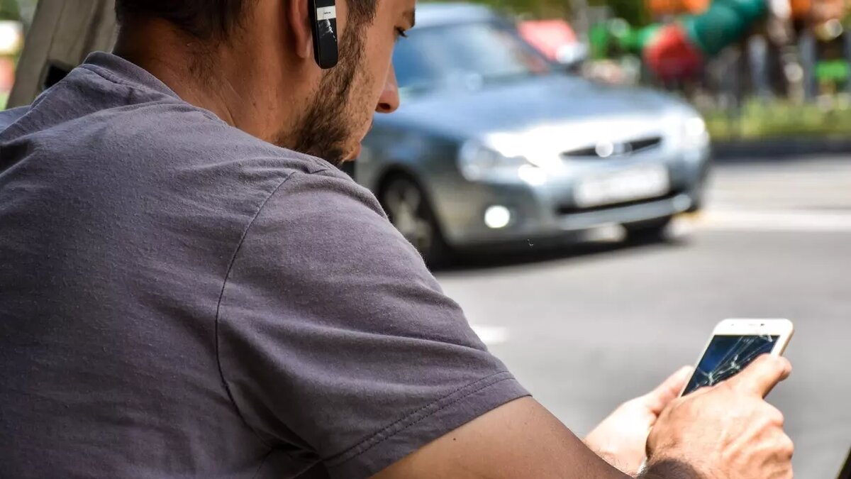     Источник: Город55