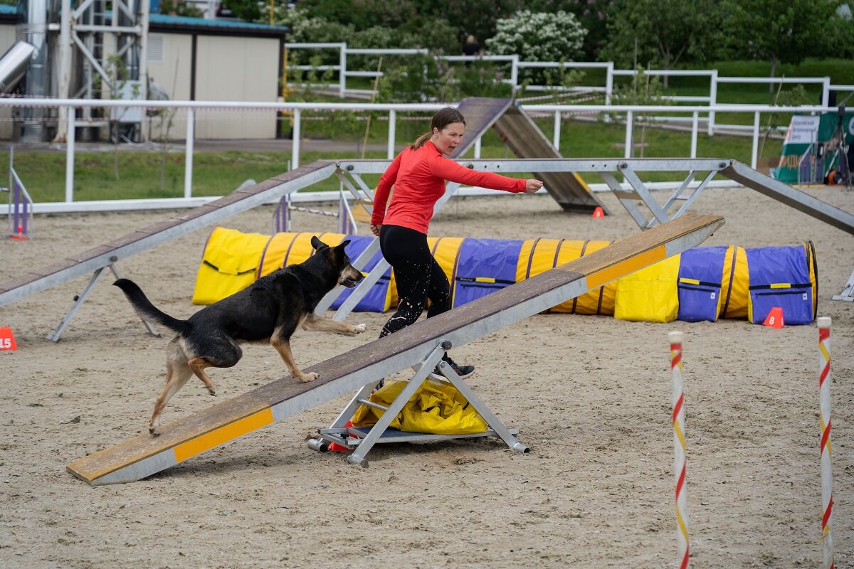    Фото: Александр Плонский / "ВиЖ"