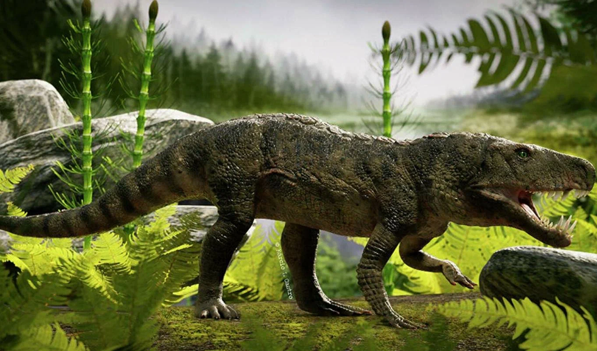 Псевдозухия-2