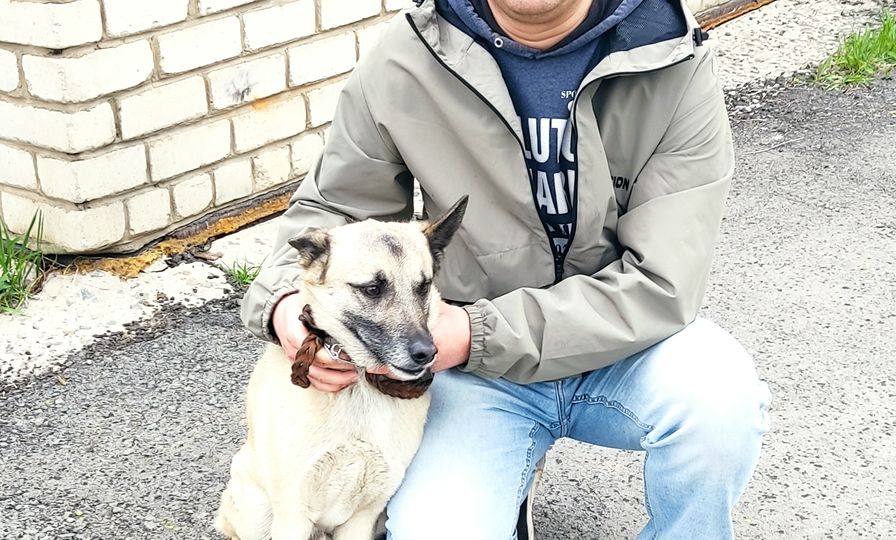 [2024] Что-то вдруг меня осенило...