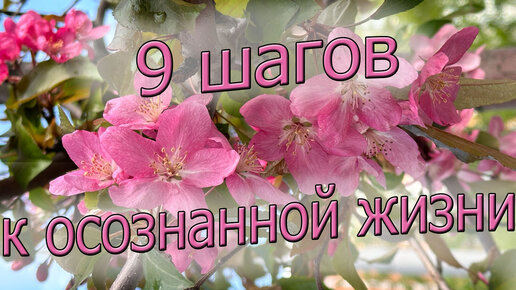 9 шагов к осознанной жизни 💭☀️😎