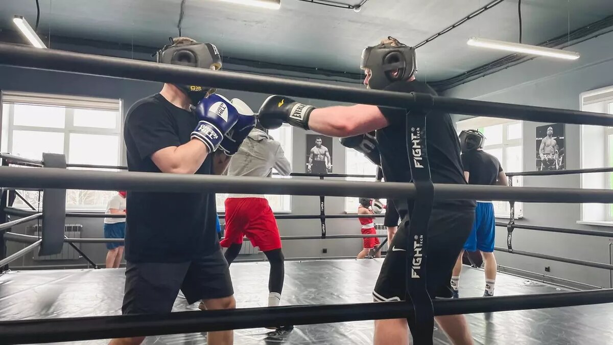     Источник: 1MI