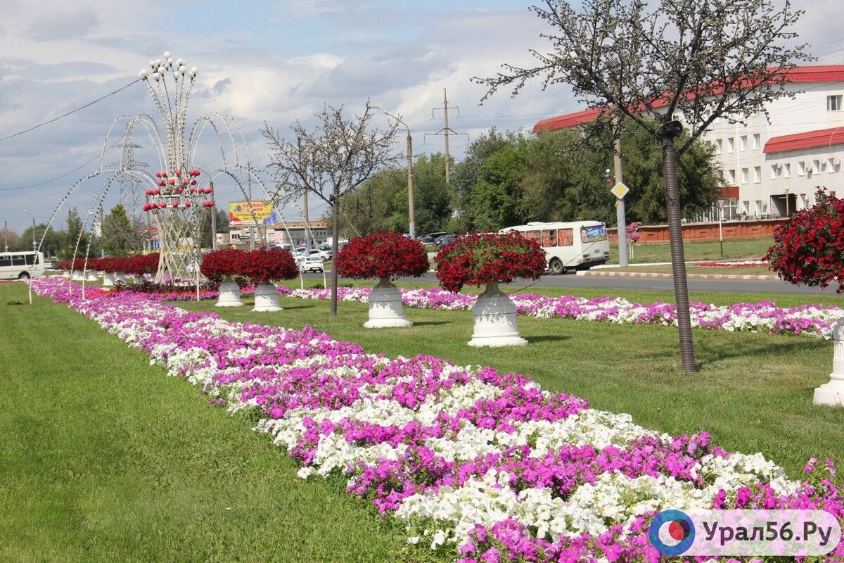    В Оренбургской области на этой неделе потеплеет до 30°С. Прогноз погоды на ближайшие дни