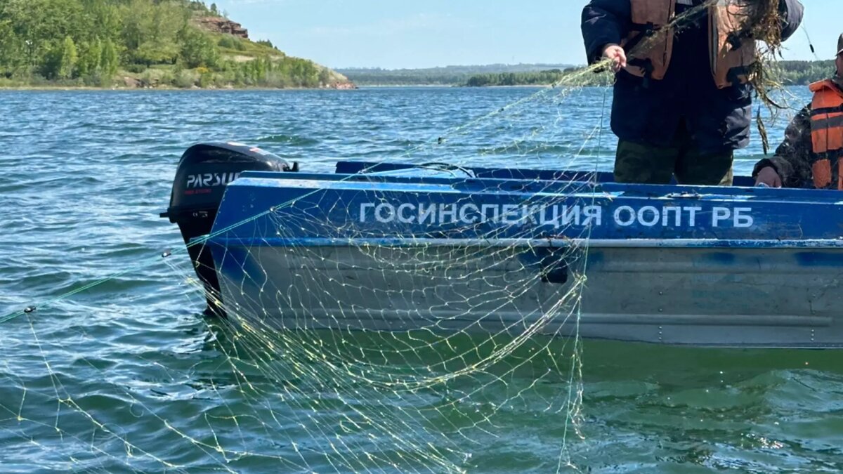     Источник: 1MI