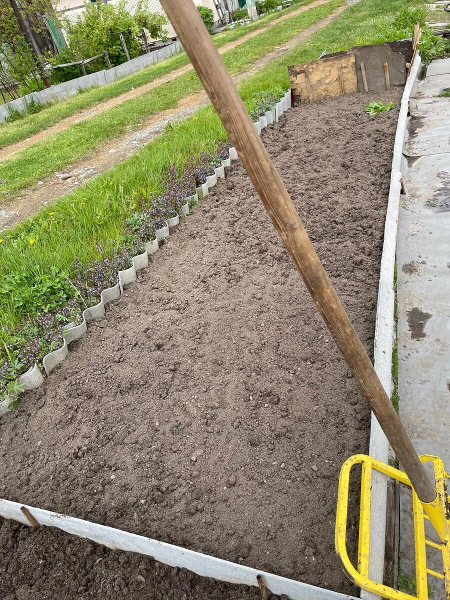 Сегодня копала эту грядку)