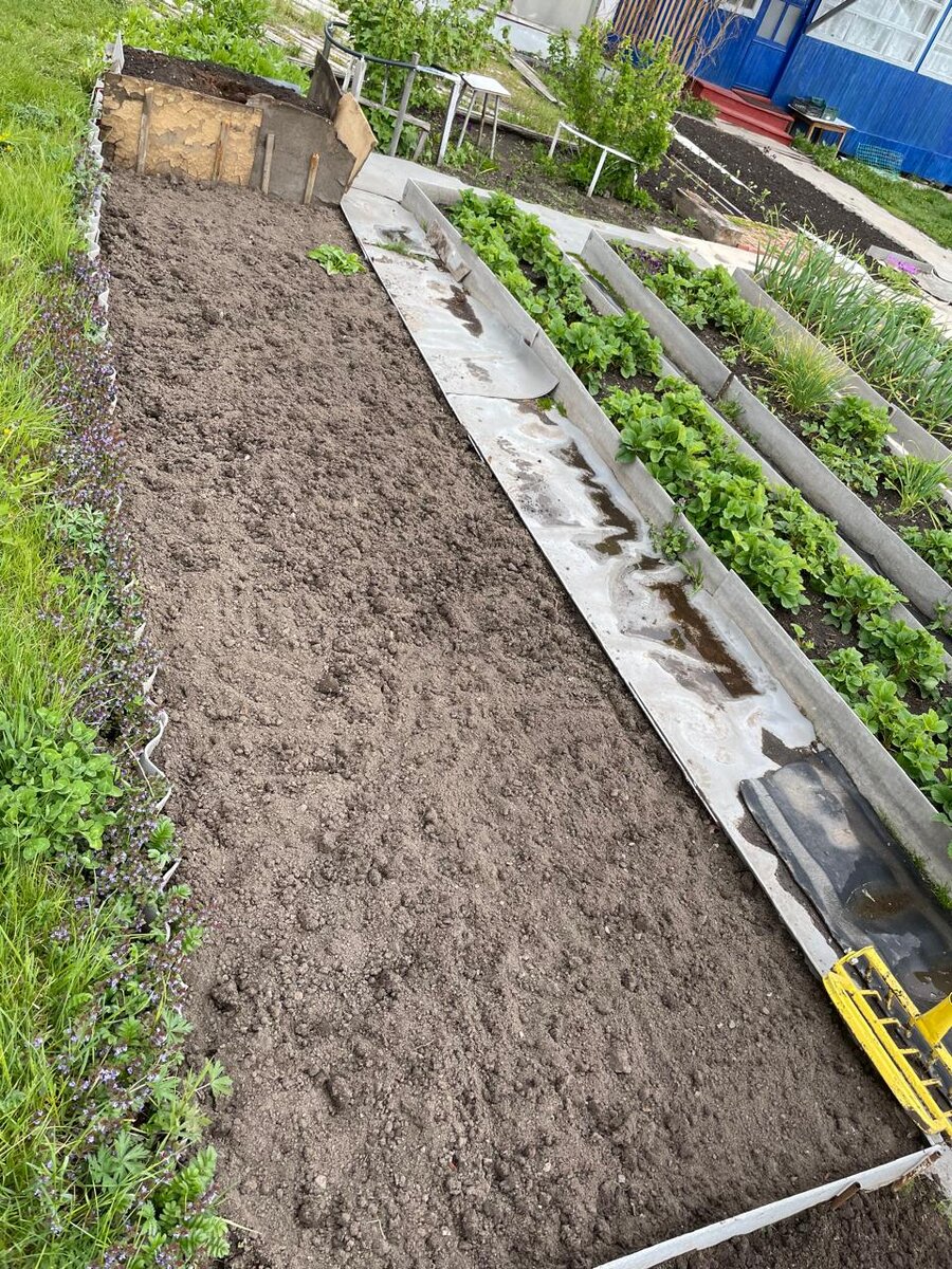 Это та же грядка, первая)