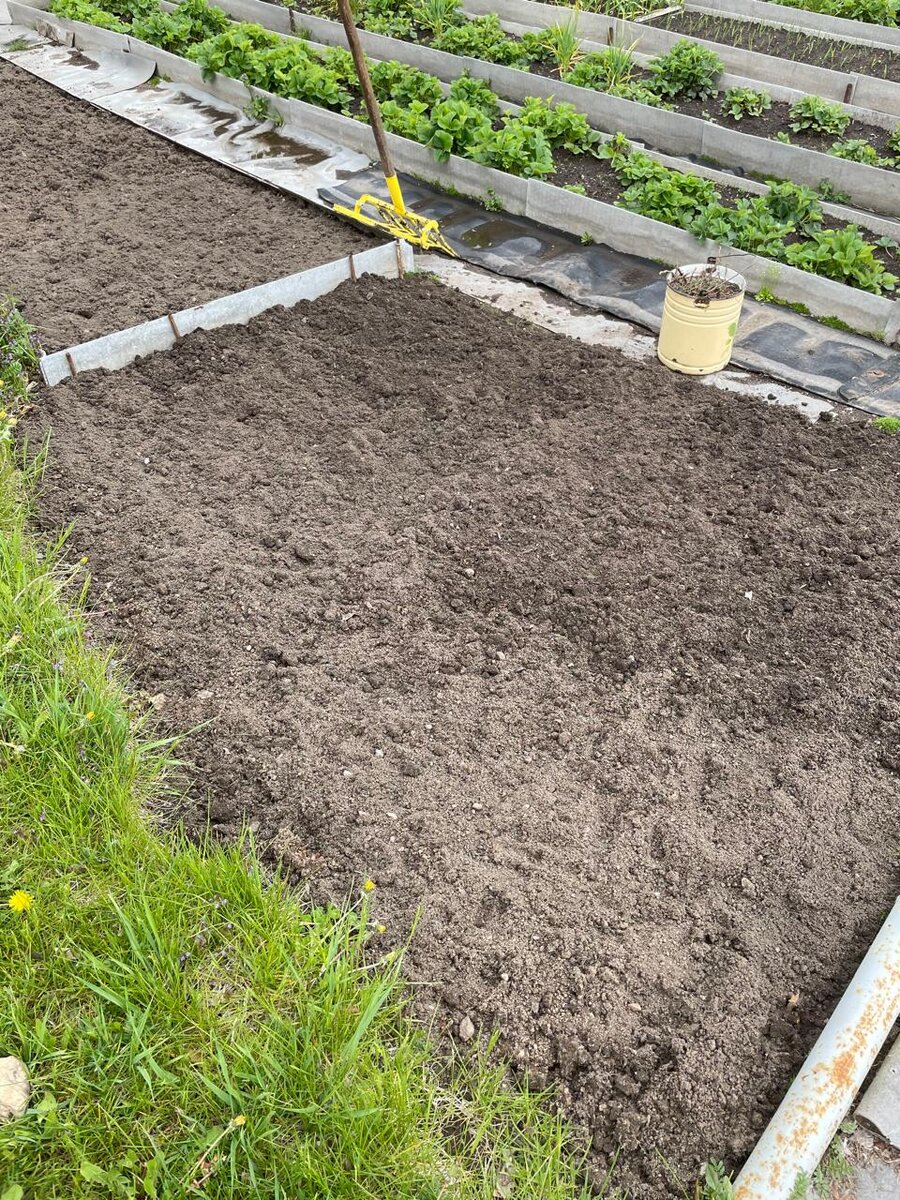 Это вторая грядка)