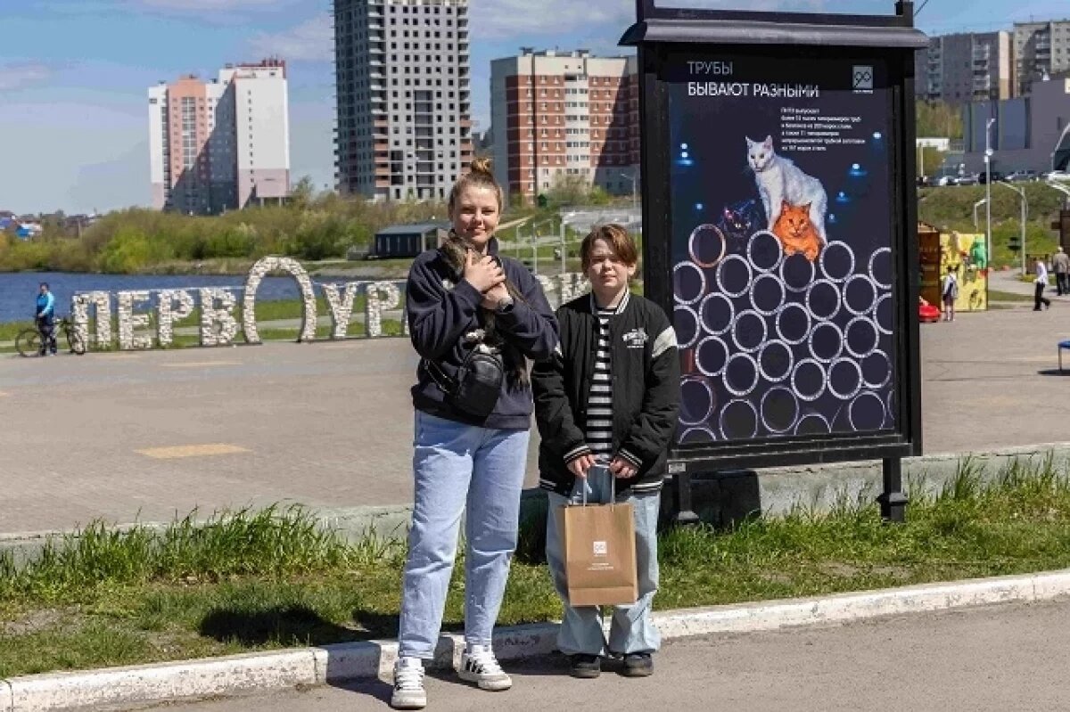    В Первоуральске открылась фотовыставка в поддержку бездомных животных