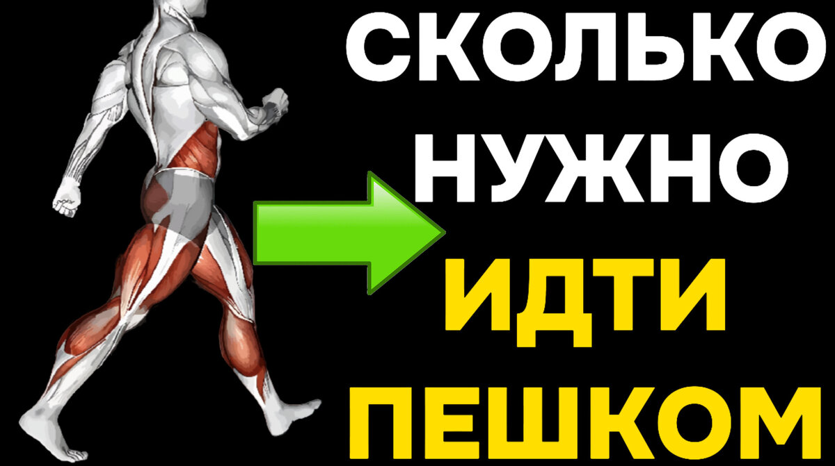 Сколько нужно ходить пешком каждый день, чтобы похудеть (новые  исследования) | Игорь Ботоговский | Дзен