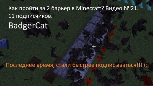 Как пройти через 2 барьер в Minecraft? Видео №21.