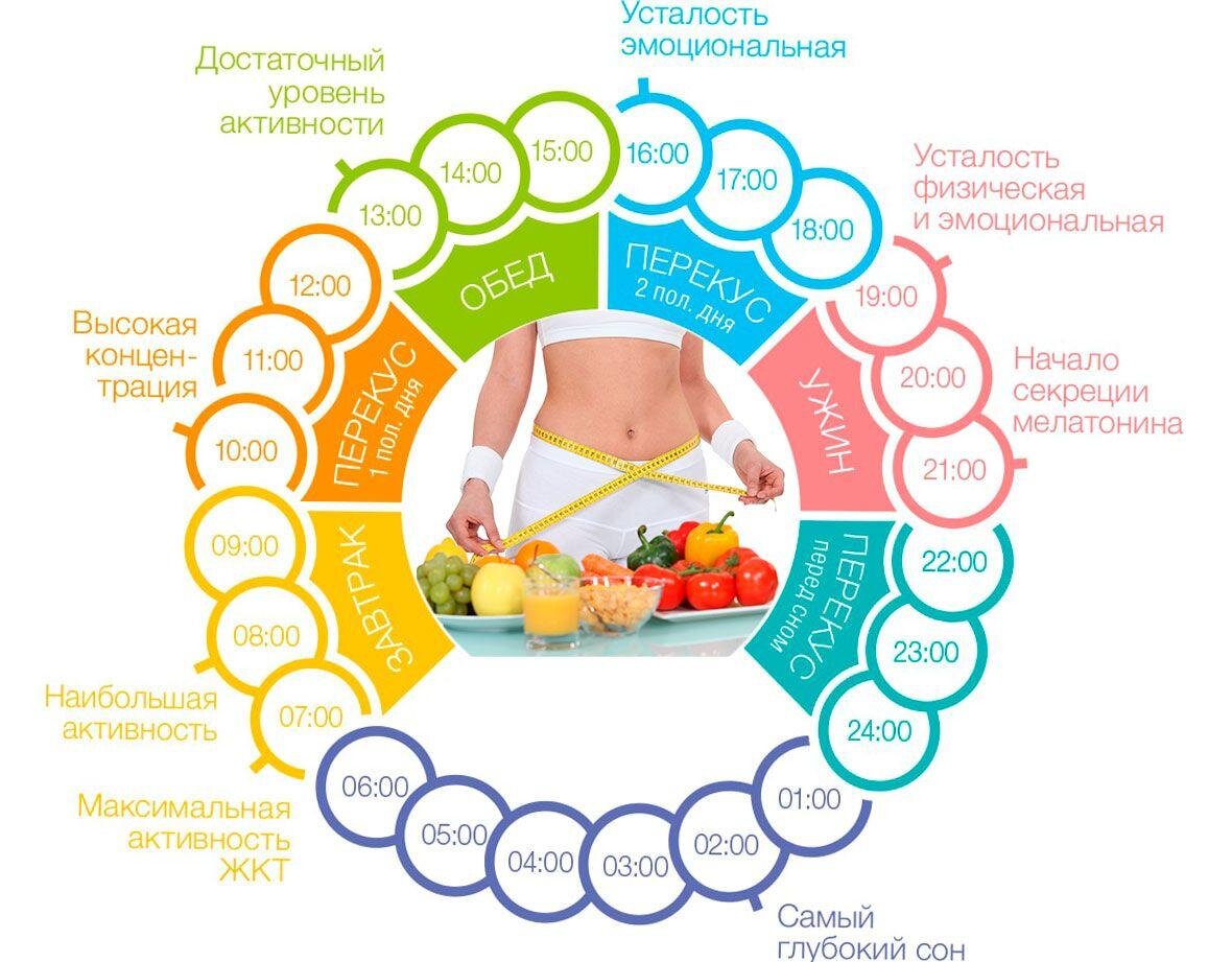 Как создать идеальный план питания: Советы и рекомендации | Трансформация  тела: от А до Я | Дзен