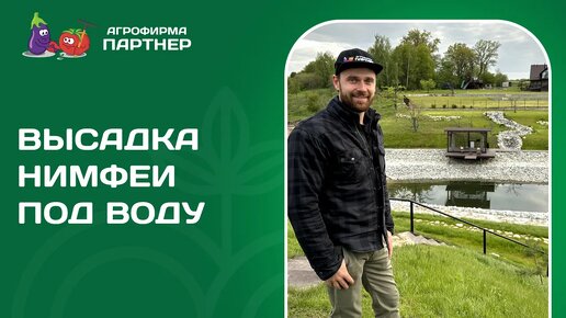 ОТЛИЧНЫЙ СПОСОБ ВЫСАДКИ ВОДНЫХ РАСТЕНИЙ НА ПРИМЕРЕ ПРЕКРАСНОЙ НИМФЕИ!