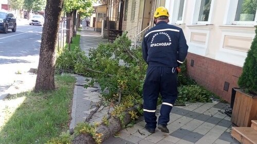    Фото: пресс-служба администрации Краснодара