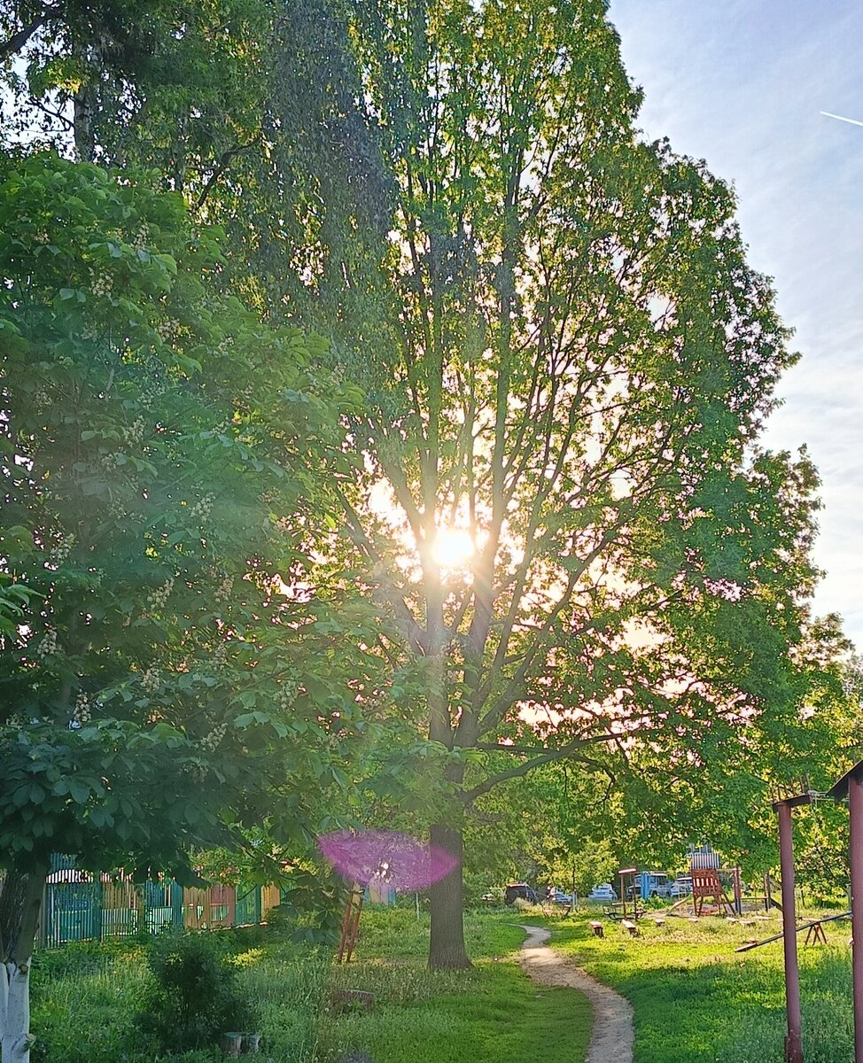 Фото автора