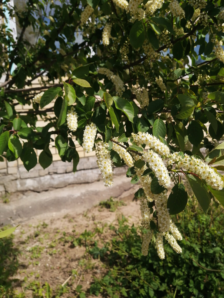 Суета сует. | Ни к селу,ни к городу. | Дзен