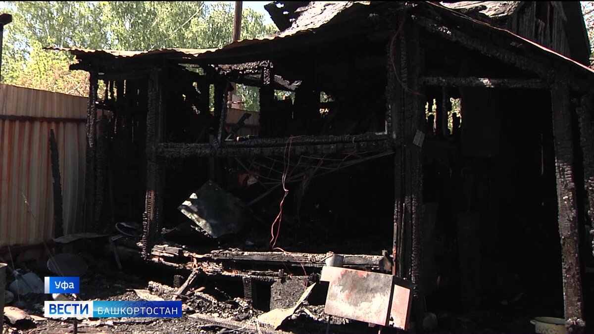    Кто и зачем поджег собачий приют в Уфе? "Вести" пообщались с хозяевами погибших в огне питомцев