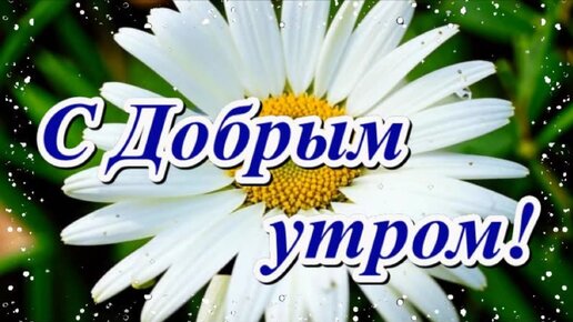 Доброе Утро! Музыкальная открытка для настроения с прекрасными летними цветами и пожеланиями в стихах.