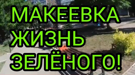 МАКЕЕВКА. ОШАЛЕТЬ! ЧТО СТАЛО С ЗЕЛЁНЫМ В 2024! ДОНБАСС СЕГОДНЯ!